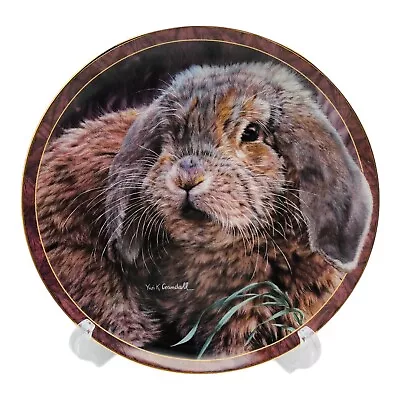 Bunny Tales FUZZBALL Collector Plate By Vivi Crandall Bradford Exchange 1997 • $19.60