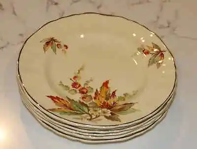 5 Vintage JG Meakin Sunshine Sol Floral Side Plates - Autumnal Colours • $25