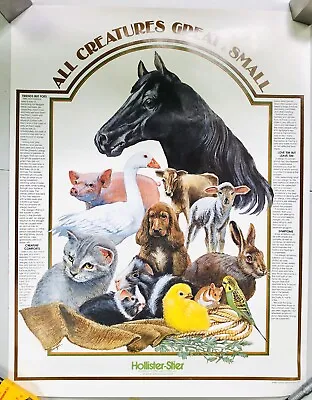 Vintage Hollister-Stier Poster Animals Creatures Allergies Educational 1981 • $18.57