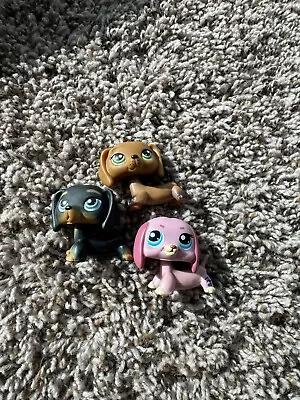 Littlest Pet Shop LPS #1306 #325 #307 Dachshund • $5