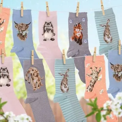 Wrendale Designs Womens Bamboo Socks Gift Bag Various Animal Designs One Size • £8.49