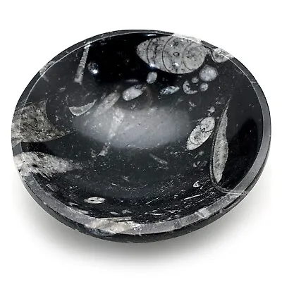 Fossil Orthoceras Bowl | Crystal Charging Bowl Natural Gemstone Jewelry Bowl • $21.99
