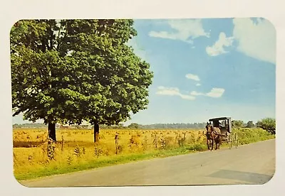 Horse Drawn Rig Amish Elkhart Goshen Indiana Postcard • $4