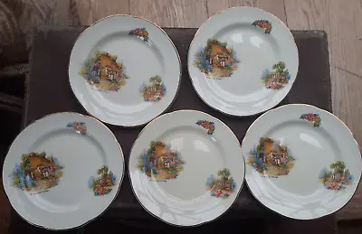 Vintage Barratts Of Staffordshire Somerset Country Cottage Tea Plates   X 5 • £19.99