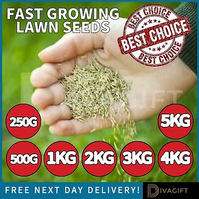 Grass Seeds Fast Growing Lawn Rapid Quick Growth New Lawns Or Patch Repair Seed • £9.65