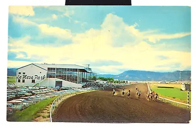 C1950/60 - La Mesa Park - Raton New Mexico Horse Racing Unposted Postcard • $11.99