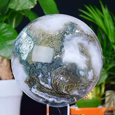 8.04LB Natural Moss Agate Crystal Quartz Sphere Quartz Crystal Healing Ball • $12.50