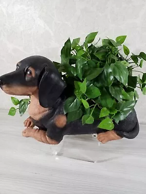 Realistic Detail & Texture Dachshund Puppy Dog 2 In 1 Garden Planter • $45