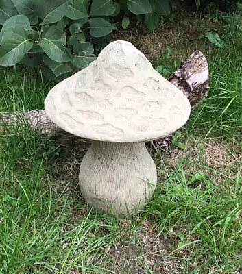 Stone Traditional Spotty Large Toadstool Mushroom  Garden Ornament Free Postage • £25