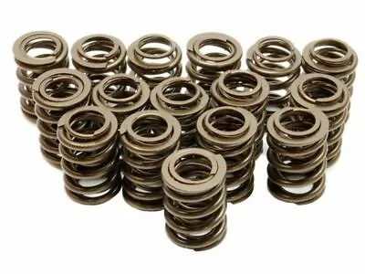 Brian Crower Dual Valve Springs B18 B18C B18C1 B16 B16A B16A2 B17A KA24DE BC1010 • $265.85