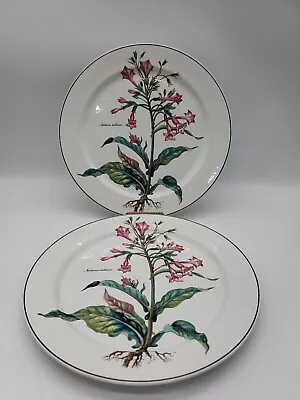 2 Villeroy & Boch Botanica Nicotiana Tabacum Round Serving Platter / Chop Plate • $45.99