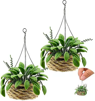 2 PC Dollhouse Miniature 1 /12 Scale Hanging Plants Bonsai Decorate Accessories • $11.99