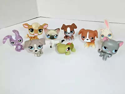 Vtg Littlest Pet Shop Bobblehead Hasbro LPS Mix Lot 9 Figures Turtle Dog Gen 1 ? • $27