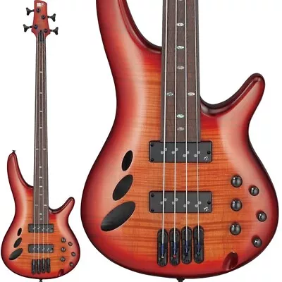 *NEW* Ibanez Bass Workshop SRD900F BTL Fletless SS Panga Panga FB W/GB • $1441.25