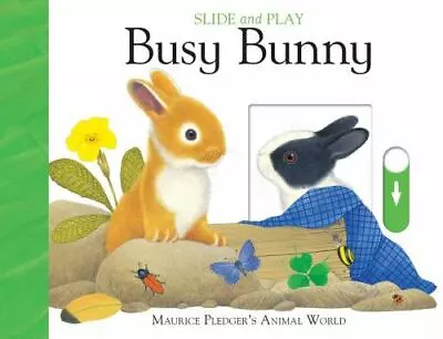 Slide & Play: Busy Bunny • $5.87