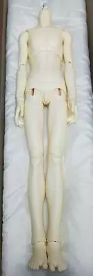 Sdgr Boy Body White Skin Volks Super Dollfie • $383.40