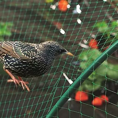 Bird Netting 4m Wide Heavy Duty Garden Pond Fruit Net Protection Veg Cage Woven • £11.95