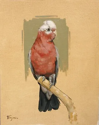 Wildlife Art - Original Oil Painting - Galah - Rose-breasted Cockatoo Bird • $149.20