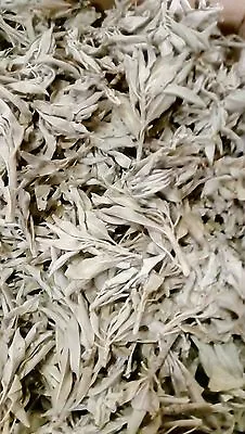 WHITE SAGE CLUSTERS Native American White Smudge Sage Incense Smudge 10 - 500g • £39.99