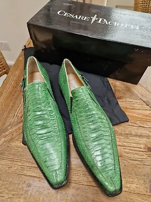 Cesare Paciotti Mens Green Python Shoes Size 9.5 • £75