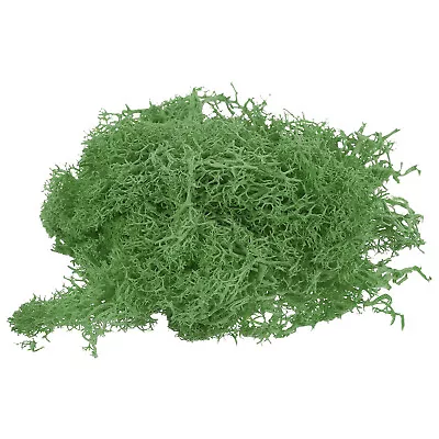 1.8 OZ Fake Moss Preserved Reindeer Moss Artificial Moss Lichen Green • $9.13