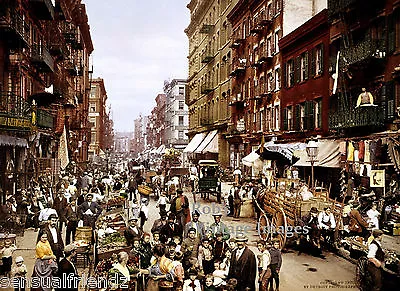 New York City Mulberry St MARKET Vintage Photo Print  1901 8X10 • $9.99