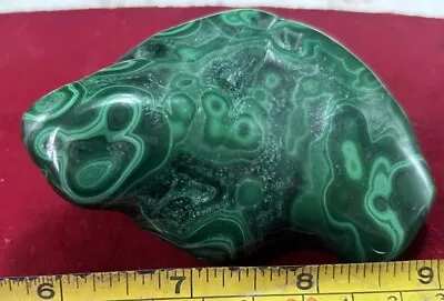 Botroidal Malachite Fully Polished • $23.69