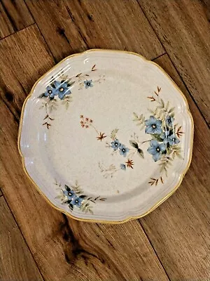 Mikasa Garden Club DAY DREAMS EC461 Dinner Plate 10 5/8   Oven To Table EXC • $12