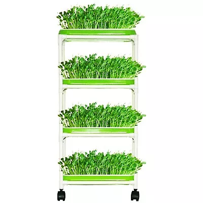 4 Layers Sprout Trays With Extra Strength Plastic Shelf Soil-Free Healthy Whe... • $31.65