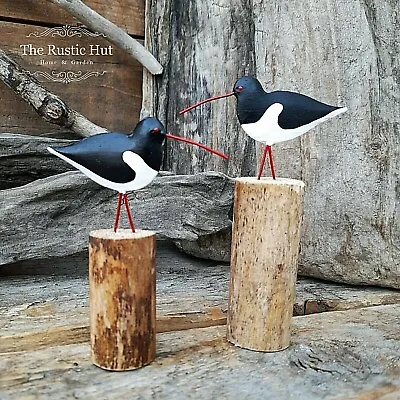 Pair Of Individual Oystercatchers On Wood Nautical Ornaments - Shoeless Joe  • £8.50