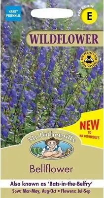 Mr Fothergills - Wild Flower - Bellflower  - 250 Seeds • £3.85