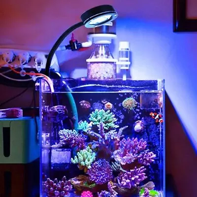 Marine Aquarium With LED Lighting Aquarium With Reef LED Lighting • £32.40