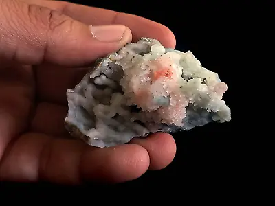 Dual Colour Chalcedony Coral Formation Matrix  # B 52 • $27.50