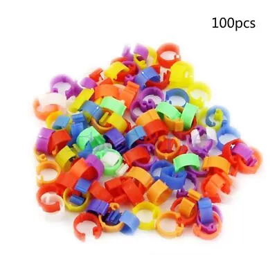For  Leg Rings 100Pcs Poultry Leg  Bands  Chicks Lovebird Small Poultr • £4.73