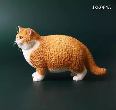 Cute Fat Cat JXK064 1/6 Model Resin Animal Figure Pet Display Decoration Gift • $61.99
