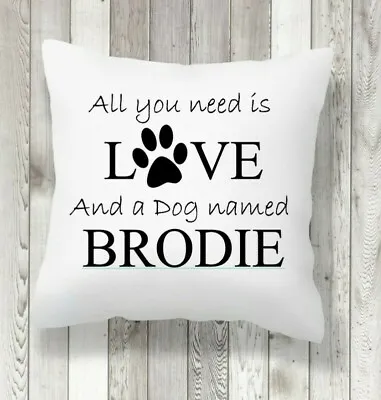 Personalised All You Need Is Love And A Dog.. Or Cat Named Cushion Cover 40x40cm • £6.99
