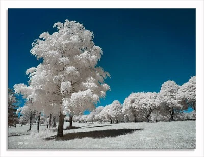£239 • Buy Converted Infrared IR Full Spectrum Panasonic GF3  Camera With Lens 951