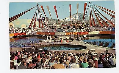 Sea Circus At Pacific Ocean Park SANTA MONICA Vintage Los Angeles Amusement 1962 • $12.99