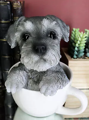 Realistic Grey Adorable Schnauzer Dog In Teacup Statue 5.75  Tall Pet Pal Dog • $30.99