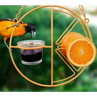 Heath CLEMENTINE ORIOLE FEEDER Bird Feeder Holds JellyFruit Mealworms. • $14.39