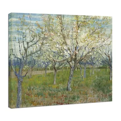 Canvas Print Wall Art Van Gogh Painting Repro Home Room Decor Picture Orchard • £1.99