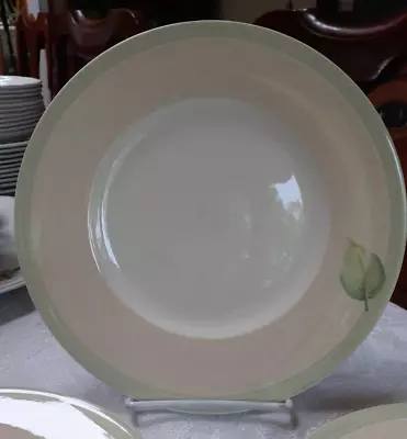 Villeroy & Boch Florea Folia 8 1/2  Salad Plate Set Of 2 • $12.99