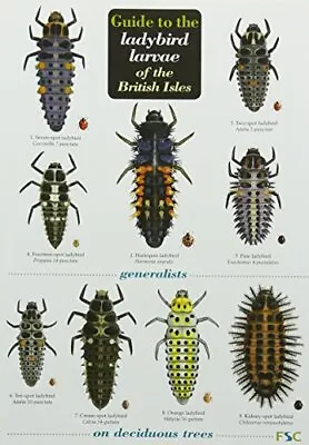 Guide To The Ladybird Larvae Of The British Isles Chart • £9.60