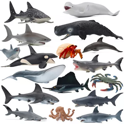 3D Simulation Shark Whale Dolphin Sea Ocean Animal Figure Model Educational Toys • $12.28