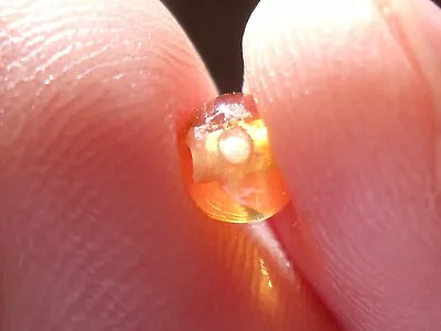 0.71 Ct. Round Cut Mexican Cantera Fire Opal Bead. • $45