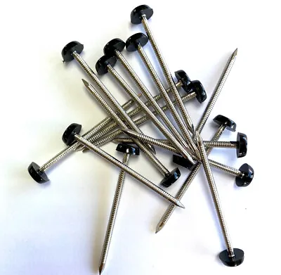 £10.99 • Buy 100 X 65mm Black UPVC Plastic Headed Pins Nails Poly Top A4 Stainless Steel