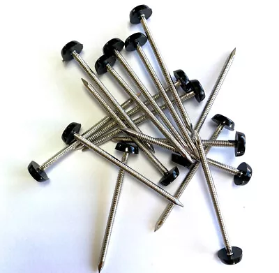 £3.39 • Buy 20 X 65mm Black UPVC Plastic Headed Pins Nails Poly Top A4 Stainless Steel