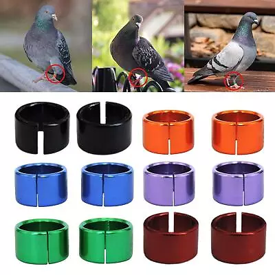 12x Pigeon Leg Foot Rings Chicken Birds Leg Rings For Poultry Lovebird Bands • £6.71