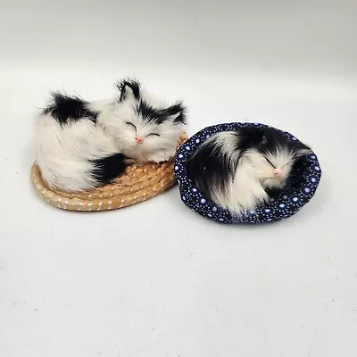 Vintage Realistic Real Rabbit Fur Cat Kitten Black And  White  Pair Taxidermy • $19.99