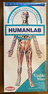 Visible Man Human Lab Skilcraft Anatomy Plastic Model Kit Original Box • $34.95